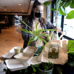 terra cafe eco friendly
